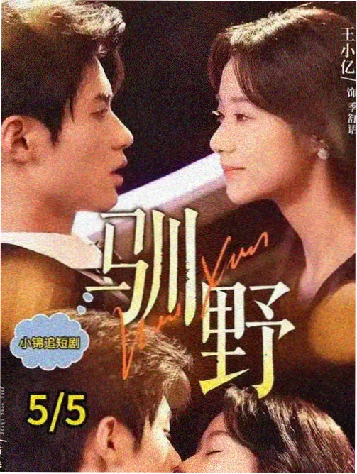 梅花三弄百度云资源